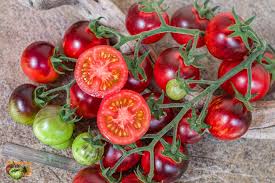 Black strawberry tomato