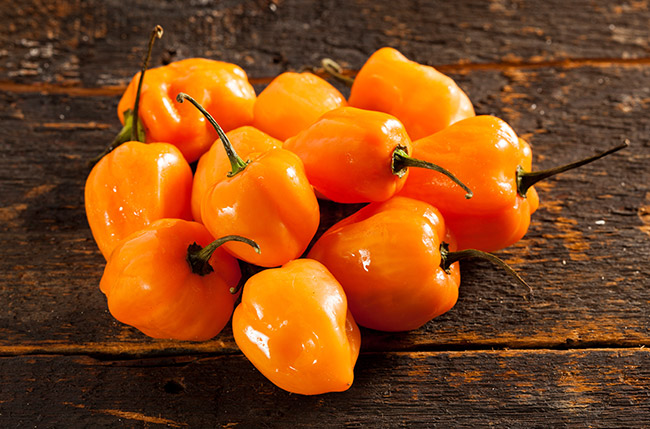 Habanero