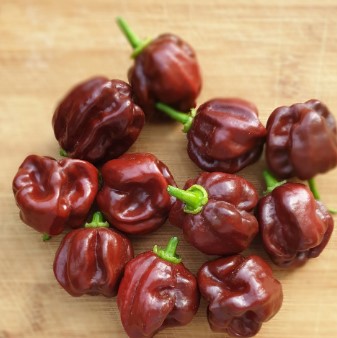 Jamaican-Chocolate-Scotch-Bonnet