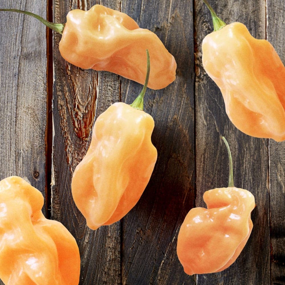Peach-Habanero