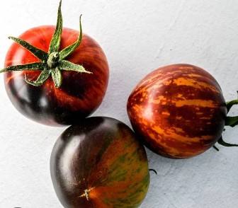 Queen of the Night tomato