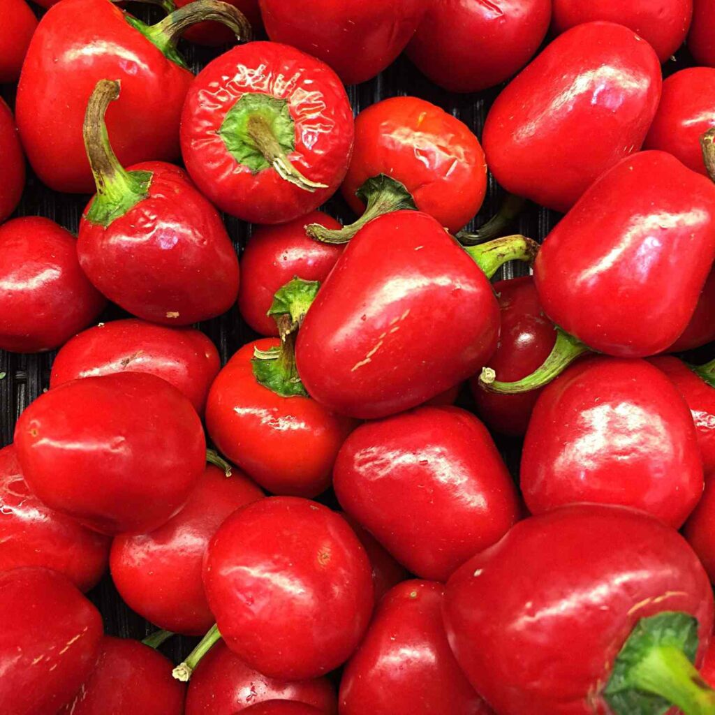 Red Pimentos