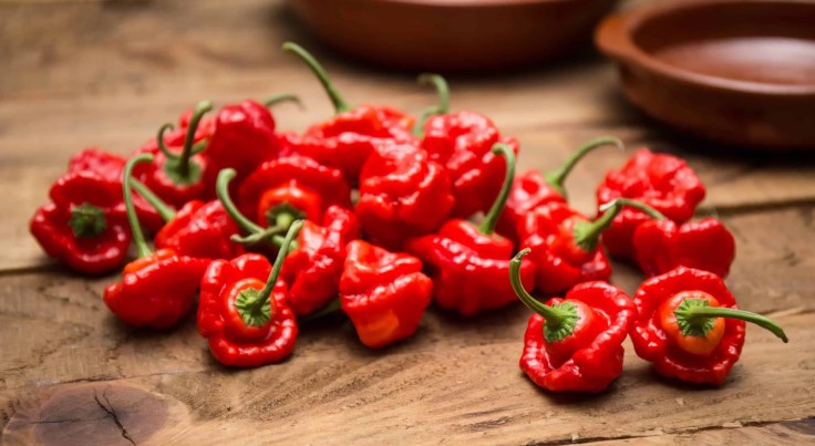 Red-Scotch-Bonnet