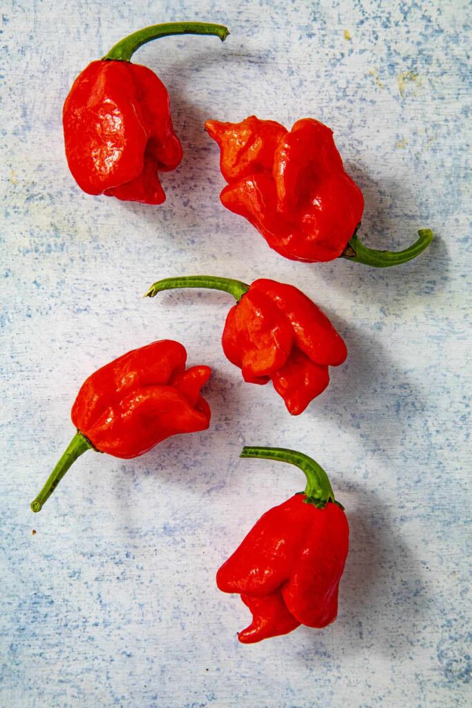 Trinidad Scorpion Red