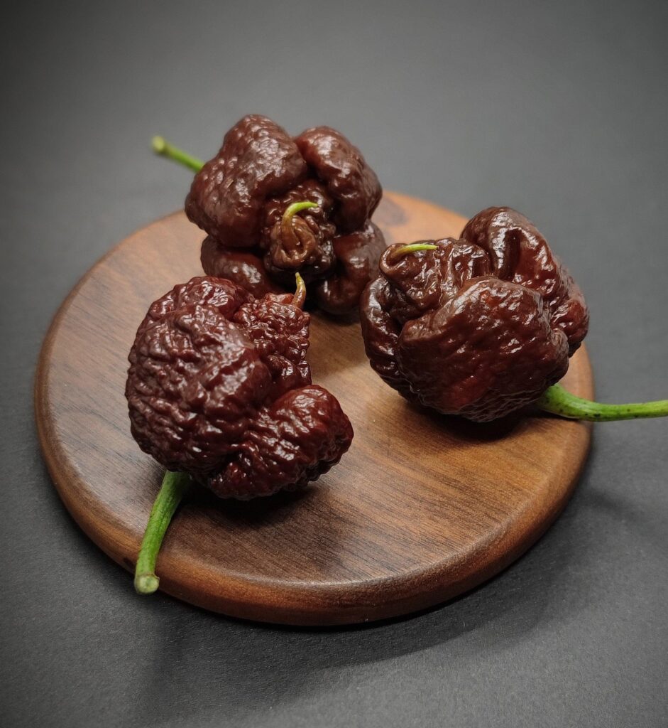 carolina reaper brown