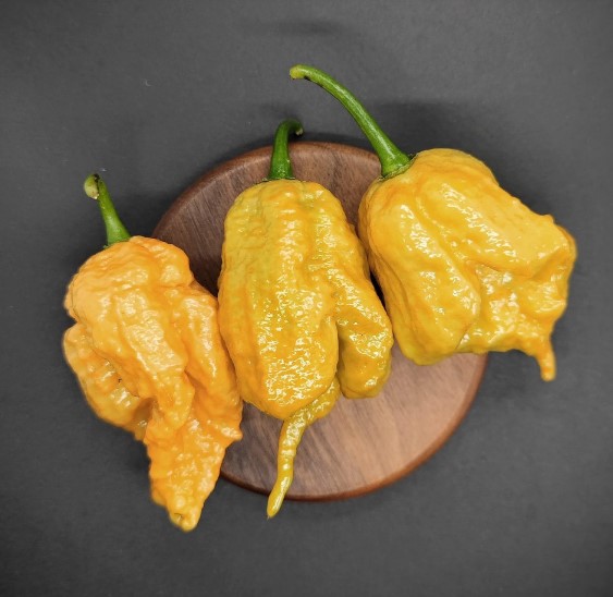 carolina reaper yellow