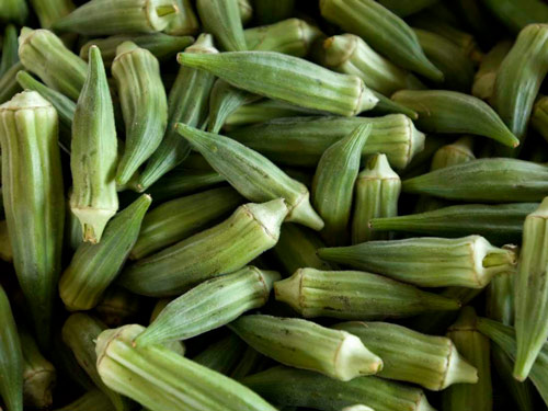 jamacian okra