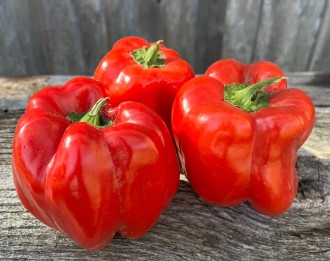 prince royal red pepper