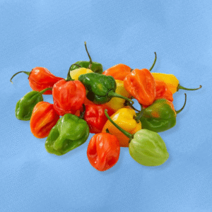 Habaneros Peppers