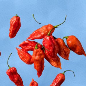 Ghost Peppers